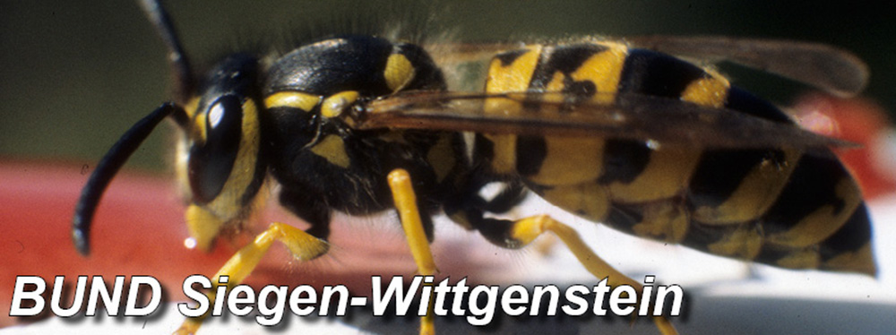 BUND Siegen